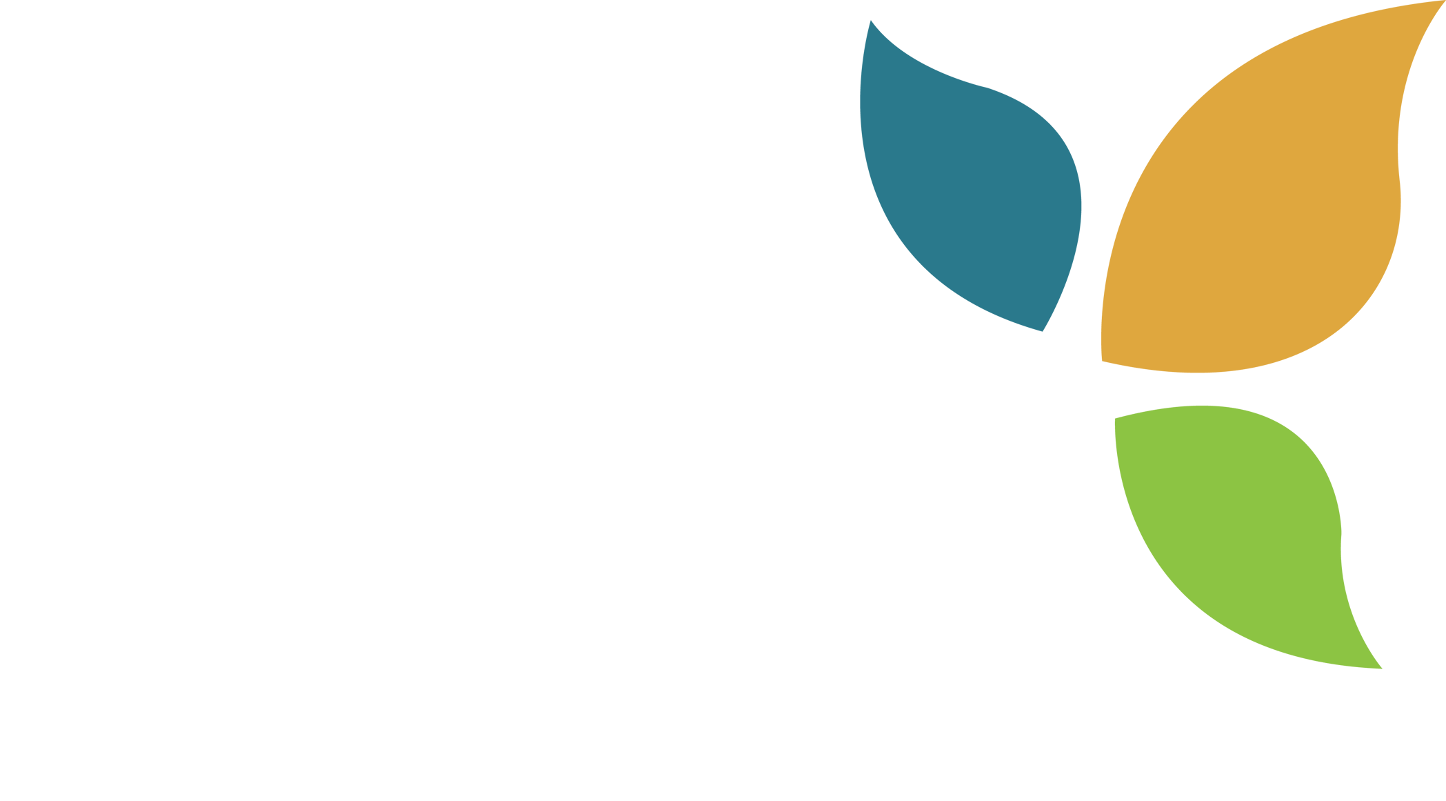 Maple Insurance Brokerage, LLC
